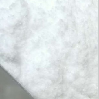 জৈব রাসায়নিক বিশ্বের অন্বেষণ