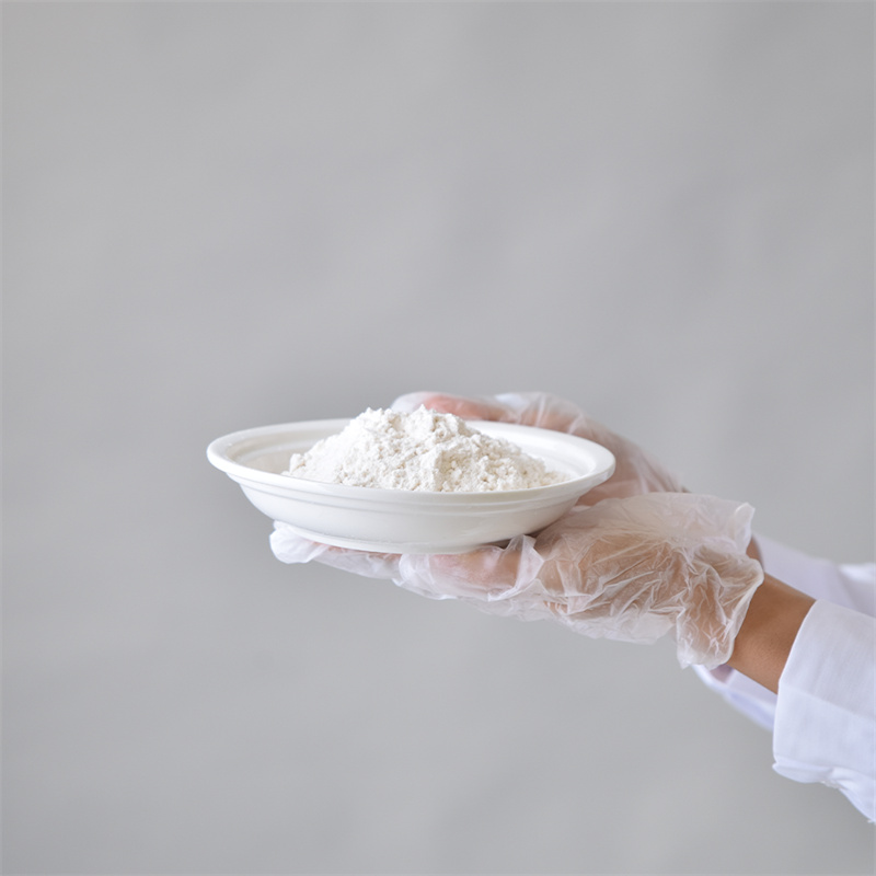 হাইড্রক্সিপ্রোপাইল মিথাইল সেলুলোজ CAS 9004-65-3